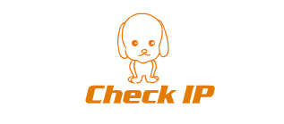 IP地址查询